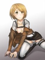 attack_on_titan_-_petra_20130914_001.jpg